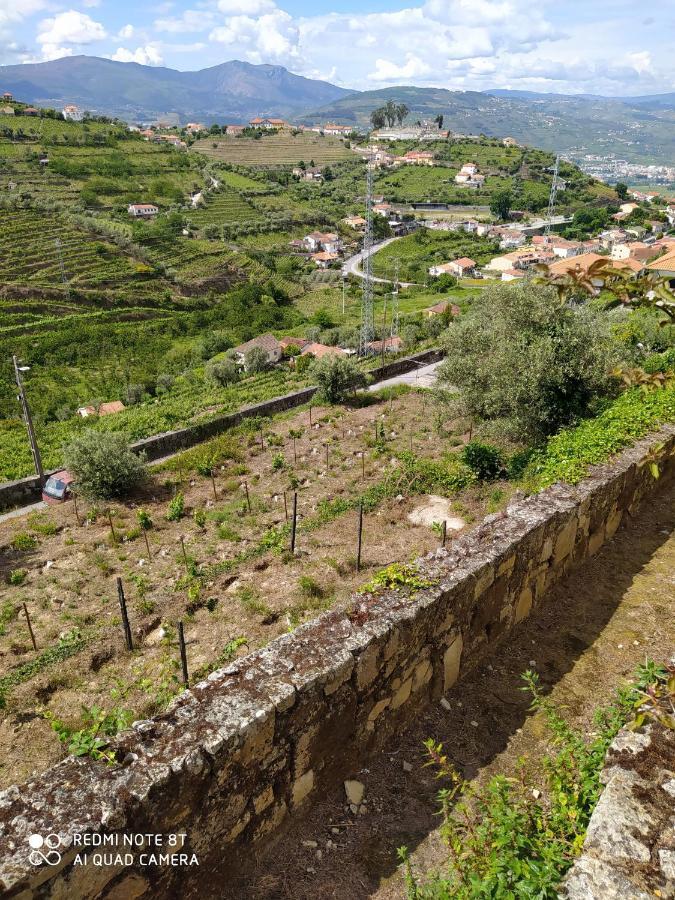 Quinta De Penelas Ламего Екстериор снимка