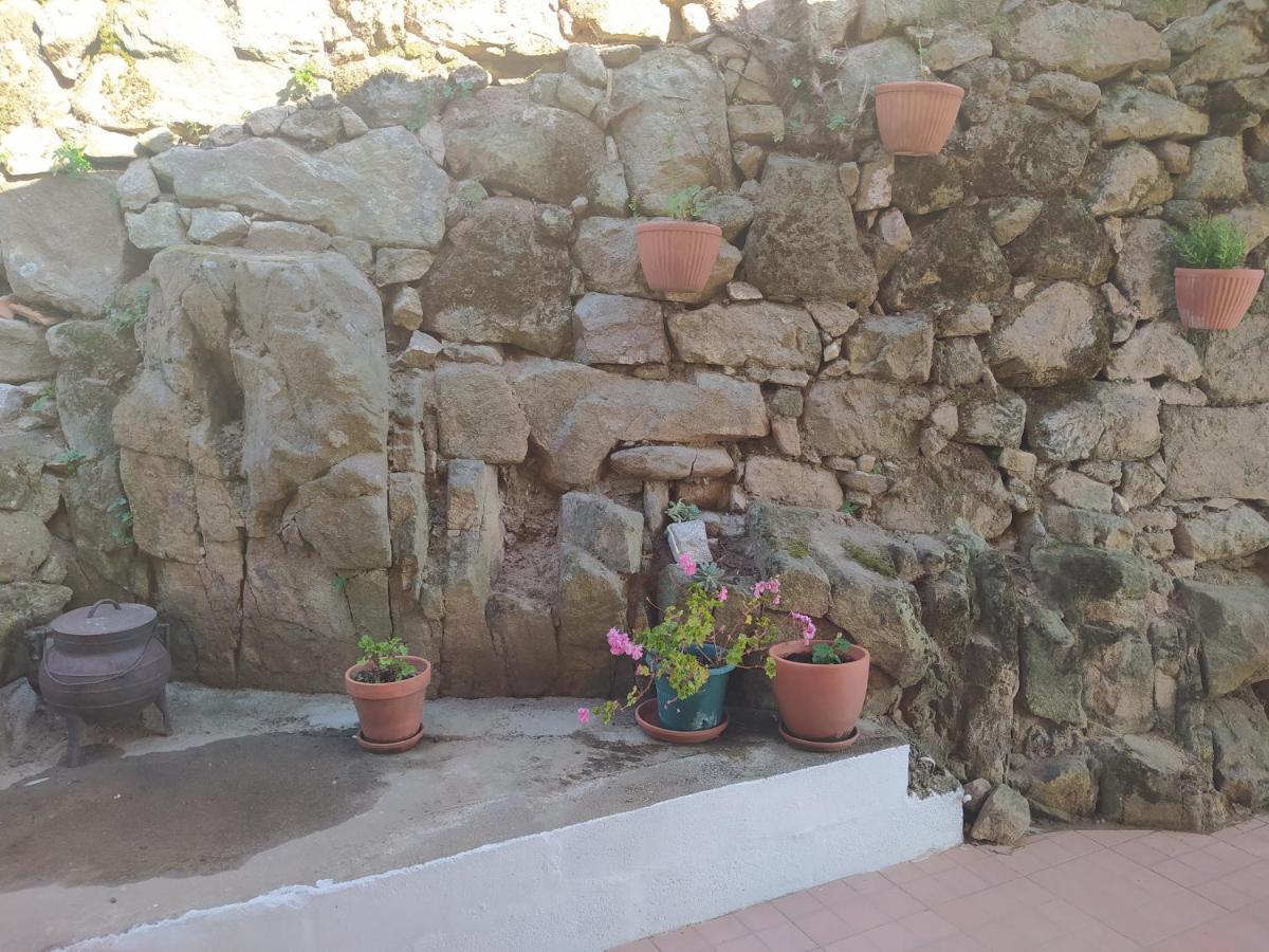 Quinta De Penelas Ламего Екстериор снимка